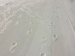 -绍兴启迪乔波冰雪世界