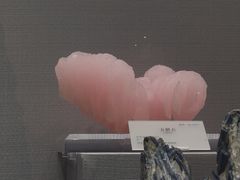 -湖南省地质博物馆