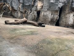 -南昌动物园