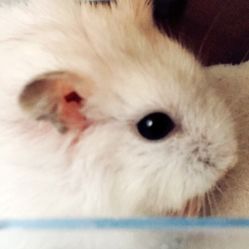 -悦芳庭美肤美体品牌集合店