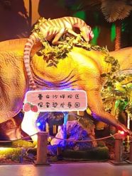 -恐龙探索乐园(磁器口店)
