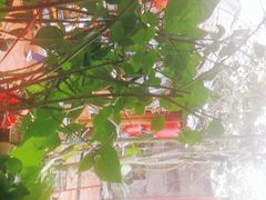 -农厨好味·温泉鹅·农家菜