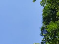 -沣峪口