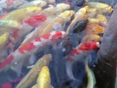 -鸿通城购物中心