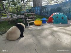 -鄂尔多斯野生动物园