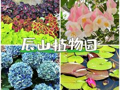 -上海辰山植物园