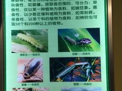 -上海昆虫博物馆