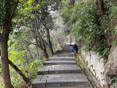 -铁山坪森林公园