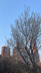 点击看大图 -馨悦诗安国际母婴会所