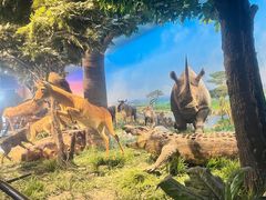 -国家自然博物馆