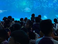 -海合安成都极地海洋公园