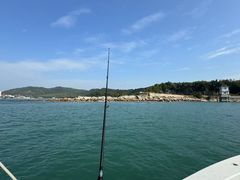 -广东惠东海龟国家级自然保护区