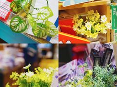 -九木杂物社(恒隆广场店)