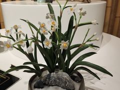 -手工艺活态馆