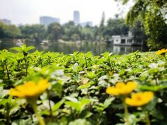 -晓港公园
