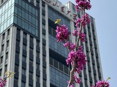 -山东大学(威海校区)