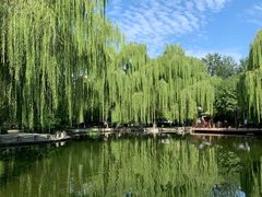 -玲珑塔公园