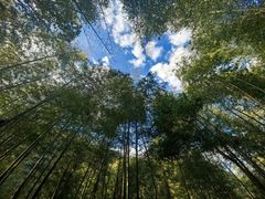 -唐记牛骨粉(陶溪川店)