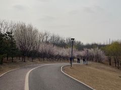 -马家湾湿地公园