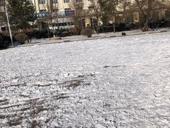 -黑龙江大学