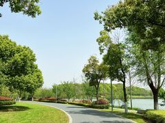 -昆山城市生态森林公园