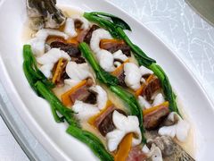 麒麟蒸桂花鱼-白云宾馆·白云宴餐厅