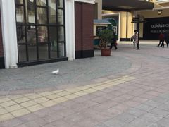 -王府井奥莱临潼小镇(临潼店)