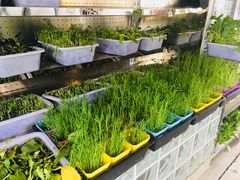 -二荆条·蜀鲜汇城市森林火锅