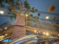 -卡通尼·Safari非洲探索乐园·生日会(金桥国际商业广场店)