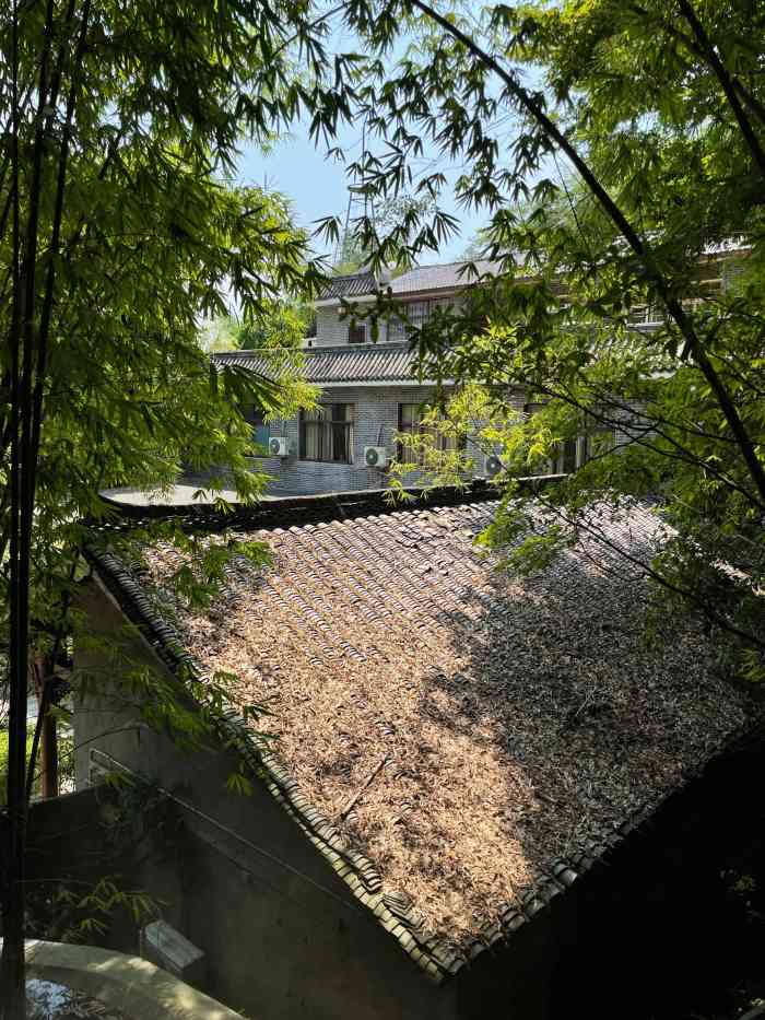竹海听涛生态山庄-"环境挺好的,里面也很大.风景还可以,今天.
