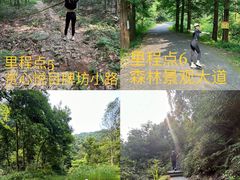 -午潮山国家森林公园