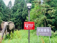 -武陵山森林公园