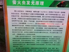 -青山公园萤火虫科普展