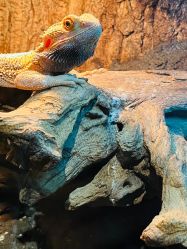 -酷嗒动物文化乐园(cutezoo西溪乐天城店)