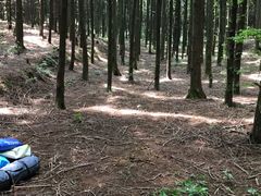 -山王坪喀斯特国家生态公园