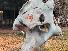 -枫桥景区