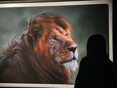 -罗红摄影艺术馆