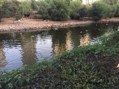 -长白岛森林公园