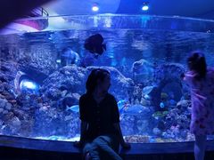 -成都浩海立方海洋公园