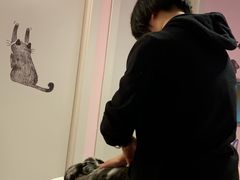 -三花喵·撸猫购宠·宠物生活馆(虹桥南丰城店)