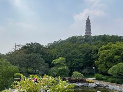 -顺峰山公园