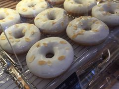 -多乐之日(富力城店)