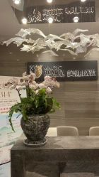 -美健盛世·美容SPA连锁