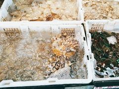 -鹏城人家海鲜酒家·23年老字号(较场尾店)