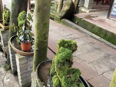 -土砂锅生态山庄·非遗砂锅雅鱼