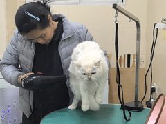 -总动员动物医院(宝丰院店)
