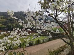-楠柏弯休闲山庄(梨花溪店)