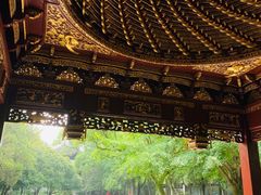 -汇龙潭
