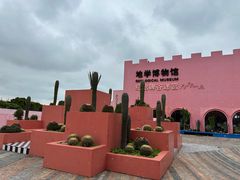 -漳州滨海火山岛自然生态风景区