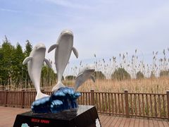 -双山岛